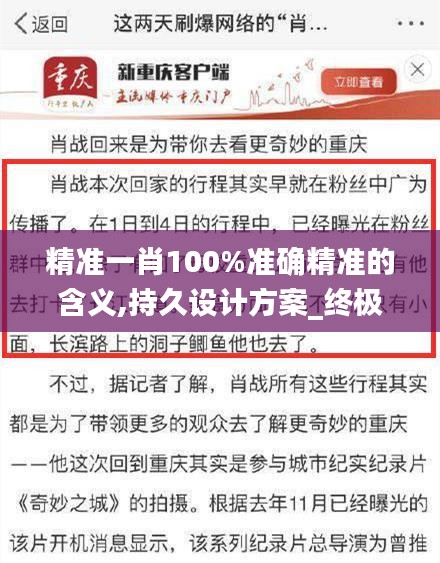 精准一肖100%准确精准的含义,持久设计方案_终极版10.621