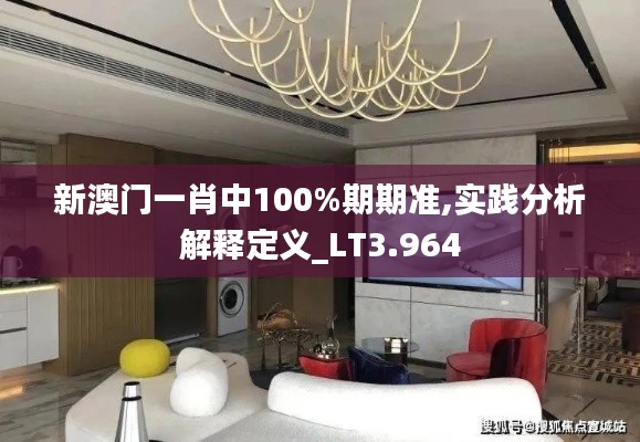 新澳门一肖中100%期期准,实践分析解释定义_LT3.964