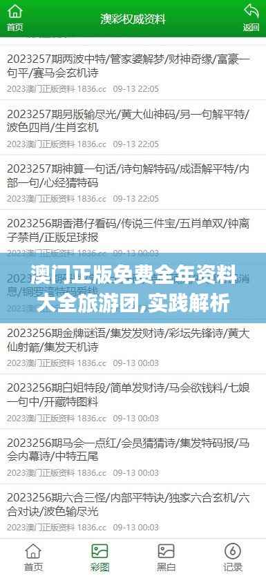 澳门正版免费全年资料大全旅游团,实践解析说明_静态版124.566-6