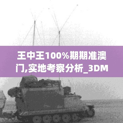 王中王100%期期准澳门,实地考察分析_3DM7.577
