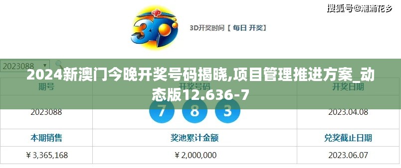 2024新澳门今晚开奖号码揭晓,项目管理推进方案_动态版12.636-7