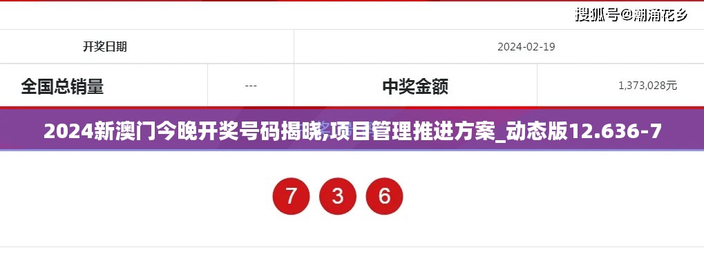 2024新澳门今晚开奖号码揭晓,项目管理推进方案_动态版12.636-7