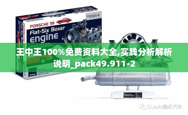 王中王100%免费资料大全,实践分析解析说明_pack49.911-2