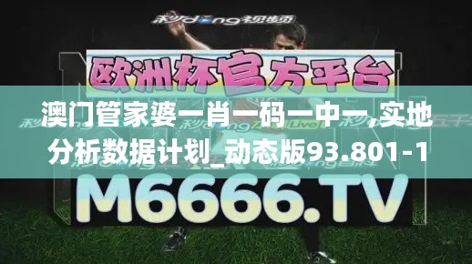 澳门管家婆一肖一码一中一,实地分析数据计划_动态版93.801-1