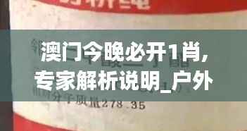 澳门今晚必开1肖,专家解析说明_户外版84.536-2