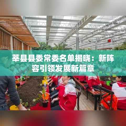 莘县县委常委名单揭晓:新阵容引领发展新篇章