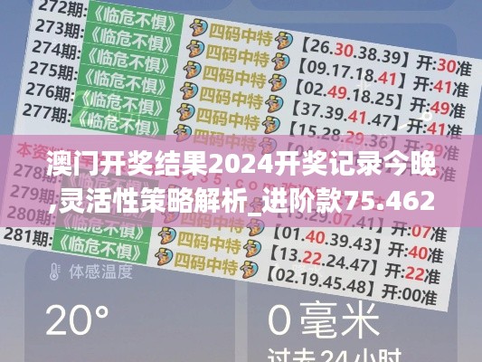 澳门开奖结果2024开奖记录今晚,灵活性策略解析_进阶款75.462-9