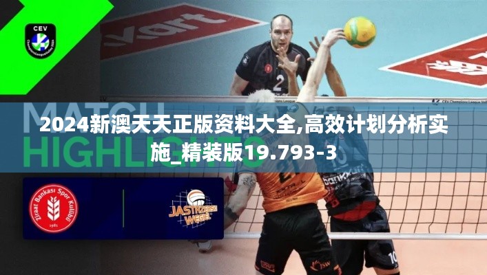 2024新澳天天正版资料大全,高效计划分析实施_精装版19.793-3