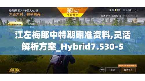 江左梅郎中特期期准资料,灵活解析方案_Hybrid7.530-5