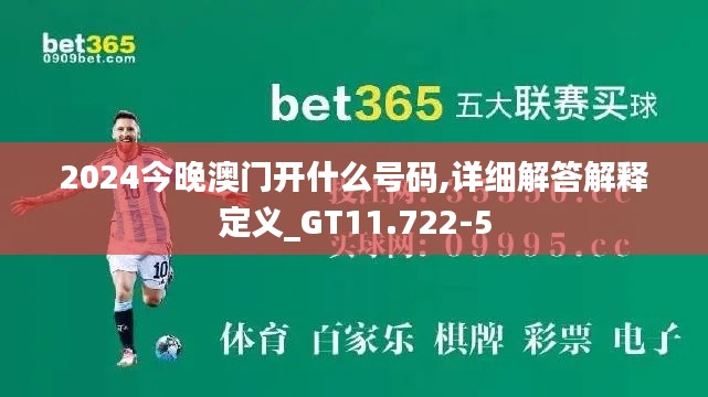 2024今晚澳门开什么号码,详细解答解释定义_GT11.722-5