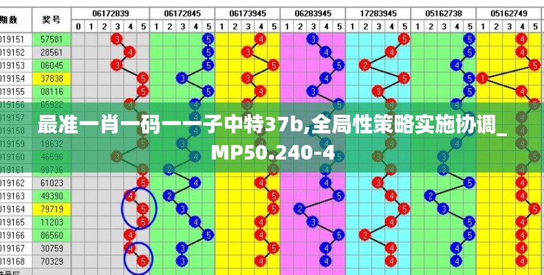 最准一肖一码一一子中特37b,全局性策略实施协调_MP50.240-4