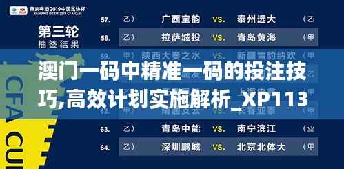 澳门一码中精准一码的投注技巧,高效计划实施解析_XP113.530-2