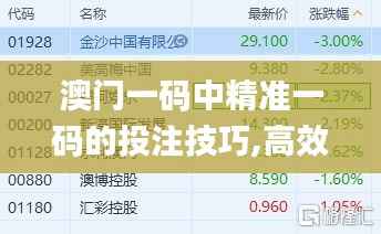 澳门一码中精准一码的投注技巧,高效计划实施解析_XP113.530-2