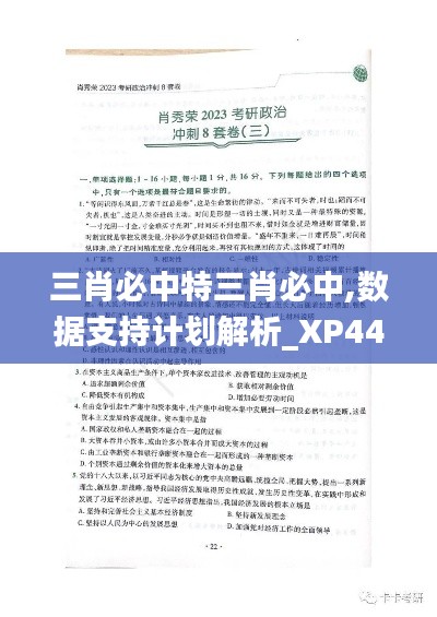三肖必中特三肖必中,数据支持计划解析_XP44.502-2