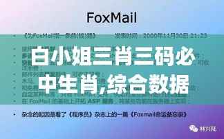 白小姐三肖三码必中生肖,综合数据解析说明_复古版83.463-3