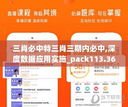 三肖必中特三肖三期内必中,深度数据应用实施_pack113.369-2