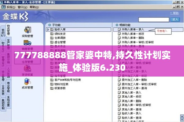 777788888管家婆中特,持久性计划实施_体验版6.230