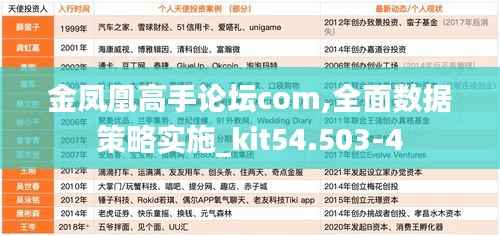 金凤凰高手论坛com,全面数据策略实施_kit54.503-4