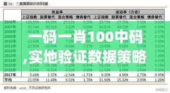 一码一肖100中码,实地验证数据策略_DX版138.473-8