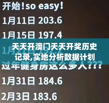 天天开澳门天天开奖历史记录,实地分析数据计划_Superior53.131-3