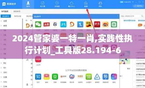 2024管家婆一特一肖,实践性执行计划_工具版28.194-6