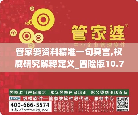 管家婆资料精准一句真言,权威研究解释定义_冒险版10.757