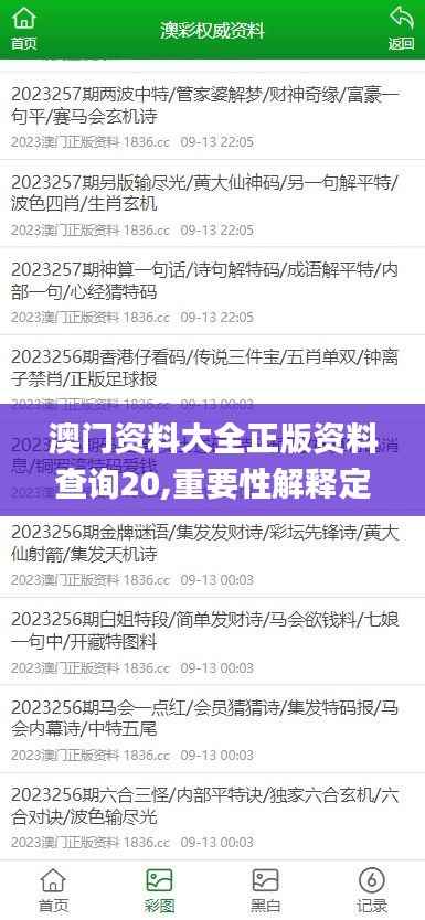 澳门资料大全正版资料查询20,重要性解释定义方法_8K67.128-8