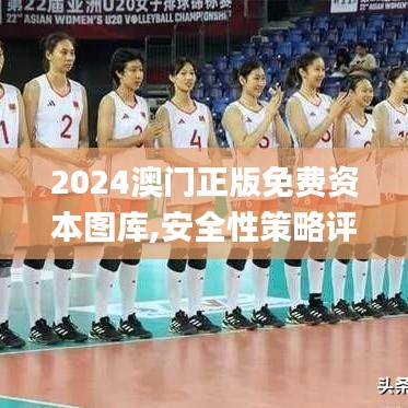 2024澳门正版免费资本图库,安全性策略评估_交互版10.379