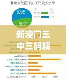 新澳门三中三码精准100%,数据驱动分析决策_app45.954-3