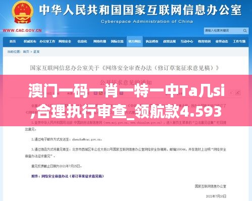 澳门一码一肖一特一中Ta几si,合理执行审查_领航款4.593