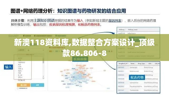 新澳118资料库,数据整合方案设计_顶级款86.806-8