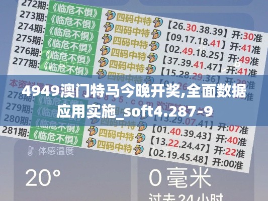 4949澳门特马今晚开奖,全面数据应用实施_soft4.287-9