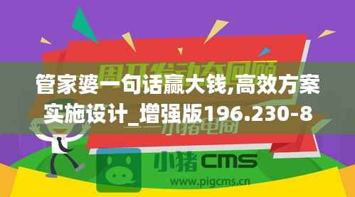 管家婆一句话赢大钱,高效方案实施设计_增强版196.230-8
