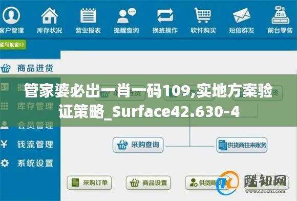 管家婆必出一肖一码109,实地方案验证策略_Surface42.630-4
