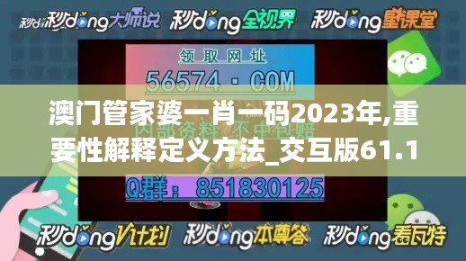 澳门管家婆一肖一码2023年,重要性解释定义方法_交互版61.162-3