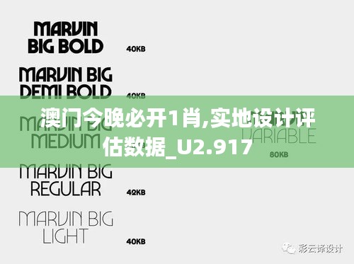 澳门今晚必开1肖,实地设计评估数据_U2.917
