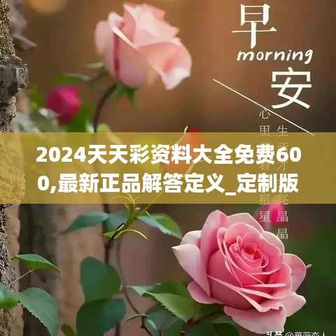 2024天天彩资料大全免费600,最新正品解答定义_定制版12.275-4