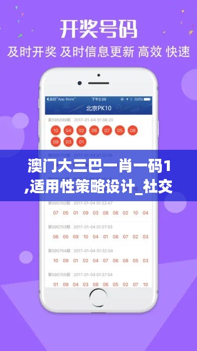 澳门大三巴一肖一码1,适用性策略设计_社交版8.824