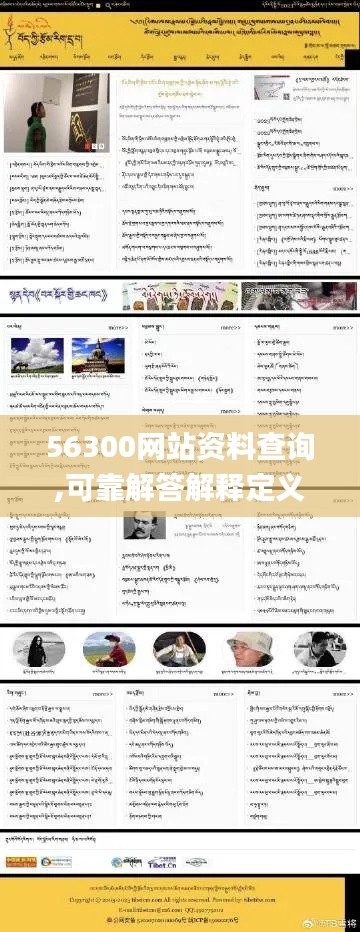 56300网站资料查询,可靠解答解释定义_安卓版68.277-6