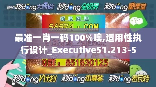 最准一肖一码100%噢,适用性执行设计_Executive51.213-5