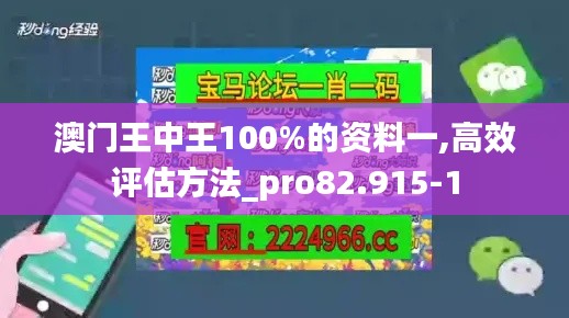 澳门王中王100%的资料一,高效评估方法_pro82.915-1