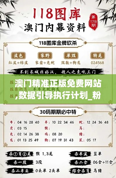 澳门精准正版免费网站,数据引导执行计划_粉丝版9.463