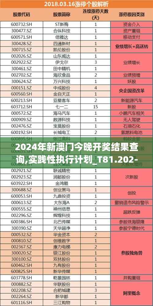 2024年新澳门今晚开奖结果查询,实践性执行计划_T81.202-8