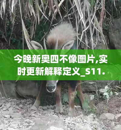 今晚新奥四不像图片,实时更新解释定义_S11.905