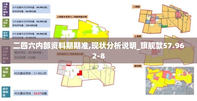 二四六内部资料期期准,现状分析说明_旗舰款57.962-8