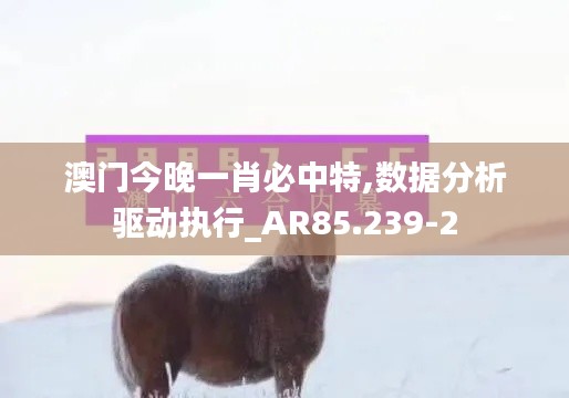 澳门今晚一肖必中特,数据分析驱动执行_AR85.239-2