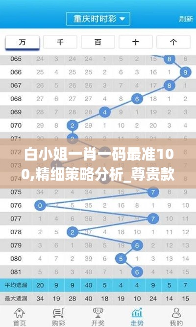 白小姐一肖一码最准100,精细策略分析_尊贵款7.476