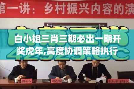 白小姐三肖三期必出一期开奖虎年,高度协调策略执行_进阶版191.862-7