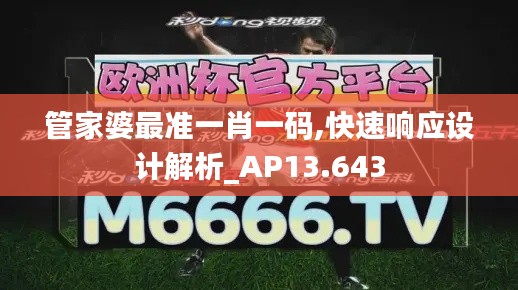 管家婆最准一肖一码,快速响应设计解析_AP13.643