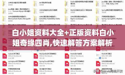 白小姐资料大全+正版资料白小姐奇缘四肖,快速解答方案解析_X84.874-9